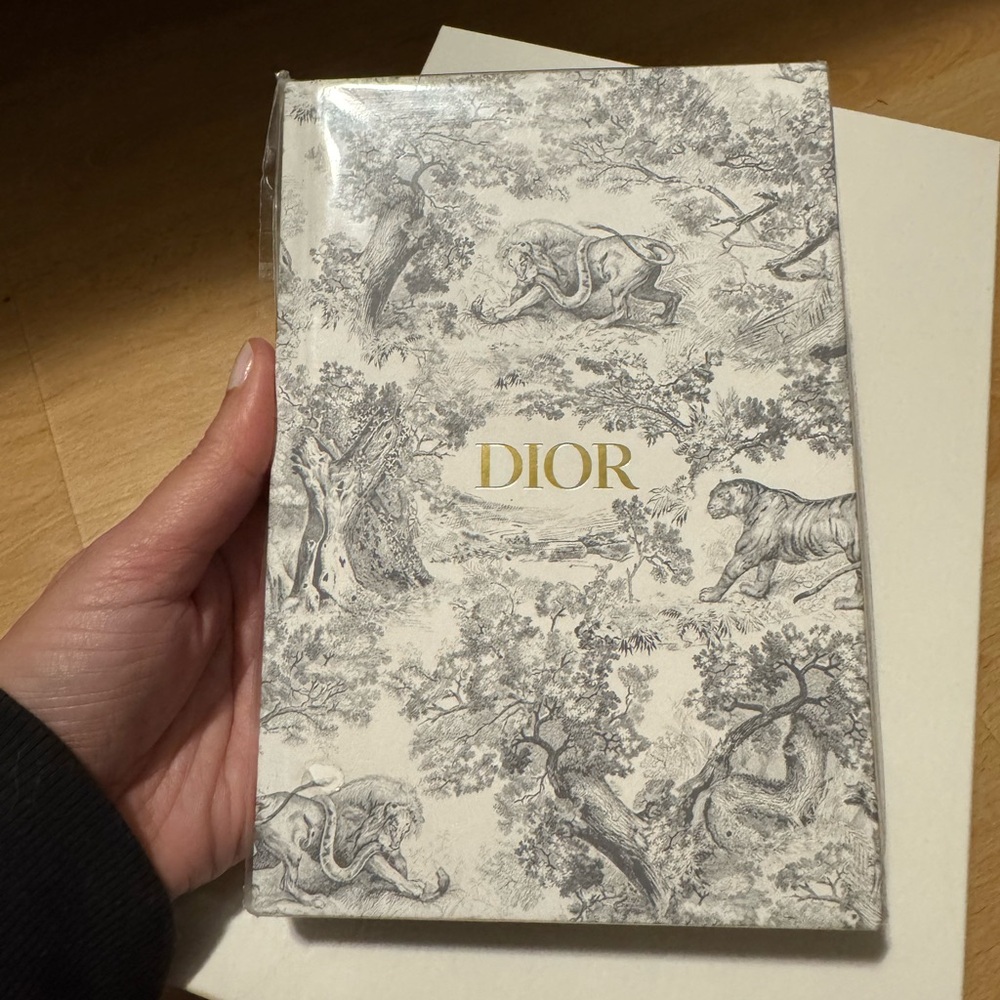 Dior Gold and Gray Illustrated Notebook
